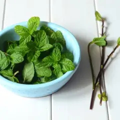 Jaką herbatę na oczyszczenie organizmu wybrać, aby skutecznie detoxować?