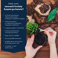 Czy fusy z kawy są dobrym nawozem? Korzyści, wady i błędy w stosowaniu