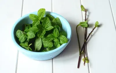 Jaką herbatę na oczyszczenie organizmu wybrać, aby skutecznie detoxować?