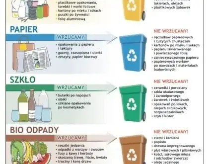 Gdzie wyrzucać opakowania po przyprawach? Praktyczne zasady segregacji odpadów