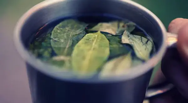 Kawa w torebkach jak herbata – łatwe parzenie i smaki, które zaskakują