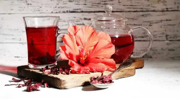 Jaki hibiskus na herbatę wybrać? Odmiany, smak i korzyści dla zdrowia